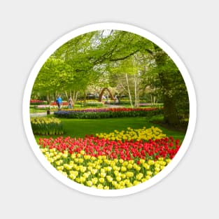 Keukenhof Tulip Festival, Holland Magnet